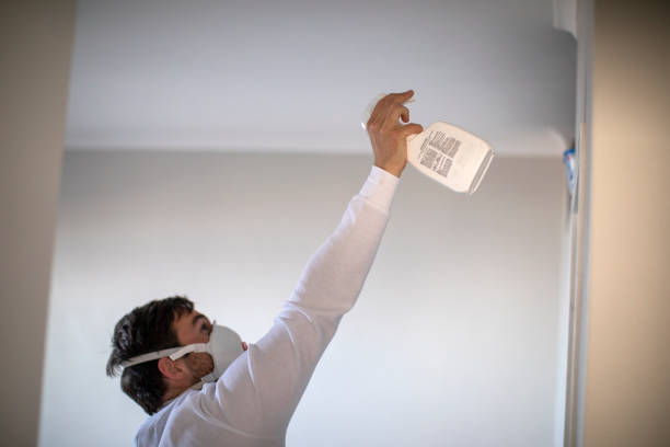 Best Mold Removal Company Near Me  in Madisonville, TN