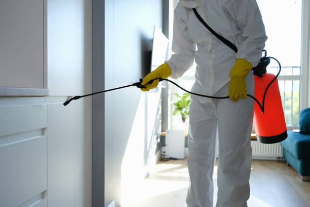 Best Toxic Mold Removal  in Madisonville, TN